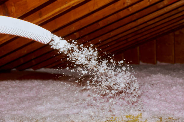 Best Insulation Maintenance and Repair in Royse City, TX