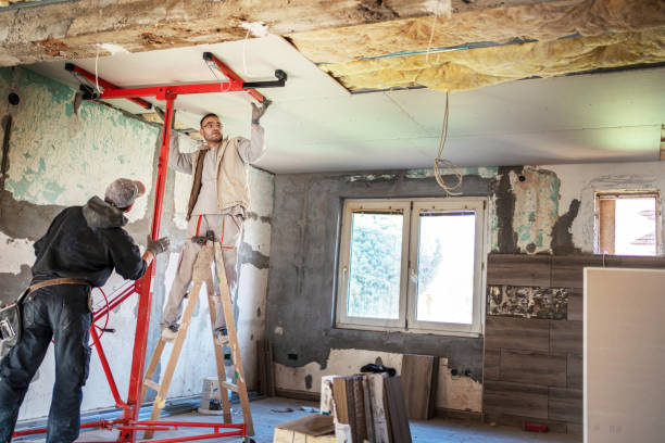 Best Residential Insulation in Royse City, TX