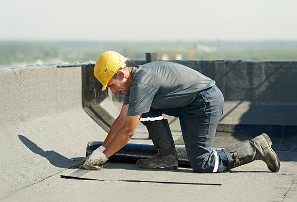 Best Insulation Installation Services in Royse City, TX